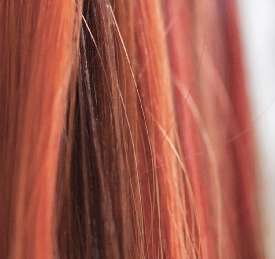 Haar- und Kopfhautanalyse | R&R Ihr Friseur